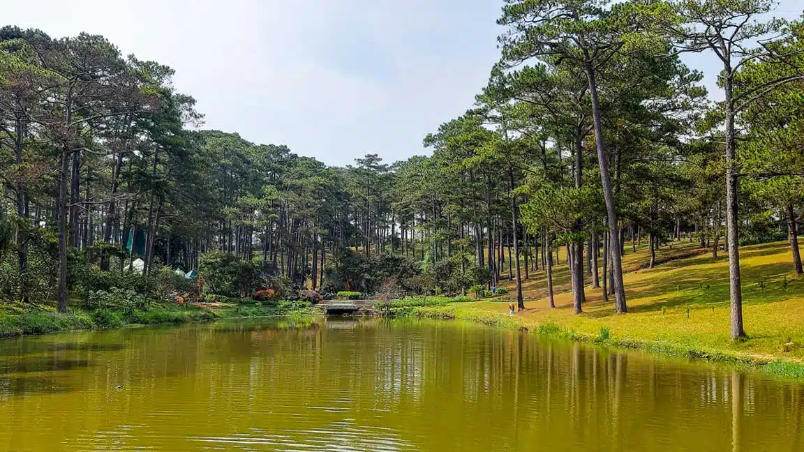 Hồ Dankia và Bcons Mimosa Hồ Dankia và Bcons Mimosa